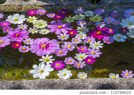 般若寺的漂浮宇宙水碗 119786620