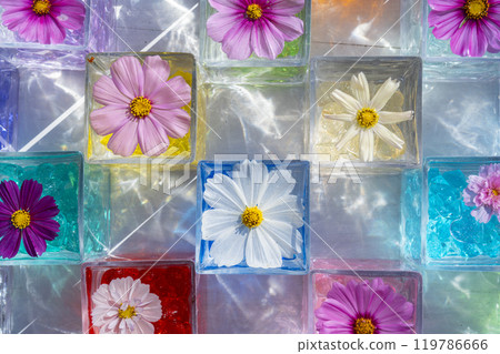 Cosmos Glass Cube at Hannyaji Temple 119786666