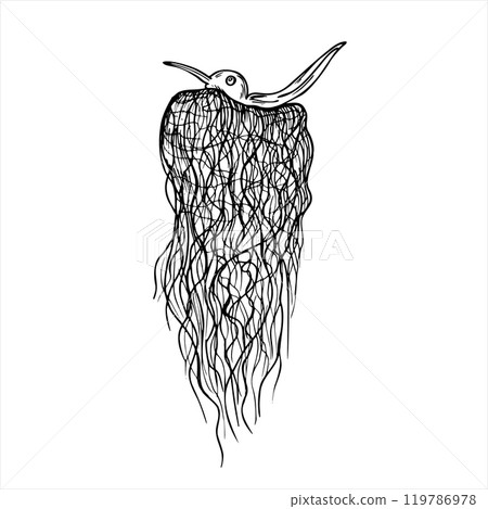 Nesting female colibri hummingbird vector isolated illustration painted by black inks. Tiny bird incubating clutch of eggs on nest of moss realistic graphic sketch. For poster, print. Nesting female colibri hummingbird vector isolated illustration painted by black inks. Tiny bird incubating clutch of eggs on nest of moss realistic graphic sketch. For poster, print. 119786978