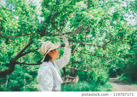 樹木和農民 樹木和農民 119787171