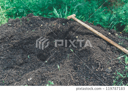 在田間製作堆肥 119787183