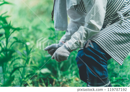 Field work, home garden, gardening Field work, home garden, gardening 119787192