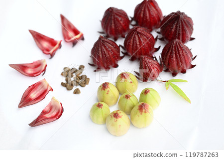 洛神花果 119787263