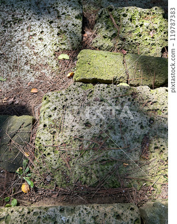 Mossy stone Mossy stone 119787383