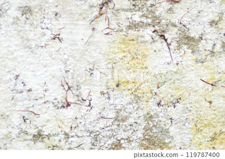 wall or fence, old wall or old fence or cement wall or cement wall texture 119787400