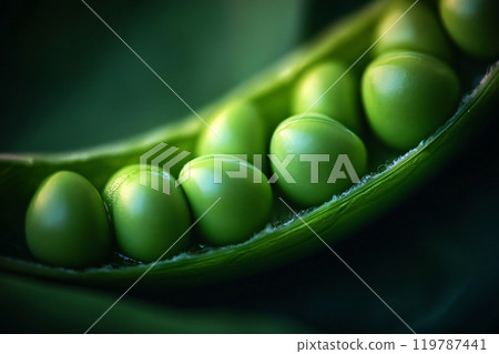 Under natural light, fresh peas in a pod reveal their detailed texture 119787441
