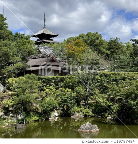 Kyoto Ninnaji Temple Five-story Pagoda 119787484