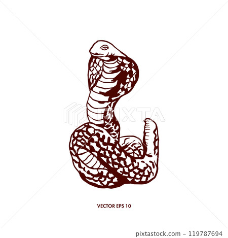 Snake, cobra. Symbol of the new year. Hand drawn vector illustration in graphic style. For design of postcards, banners, tattoos, posters, invitations Snake, cobra. Symbol of the new year. Hand drawn vector illustration in graphic style. For design of postcards, banners, tattoos, posters, invitations 119787694
