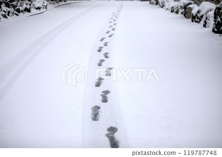 This is what footprints look like on a snowy road. 119787748