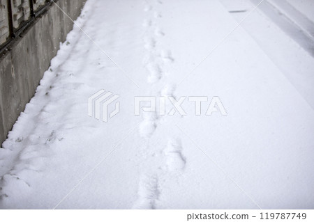 This is what footprints look like on a snowy road. 119787749