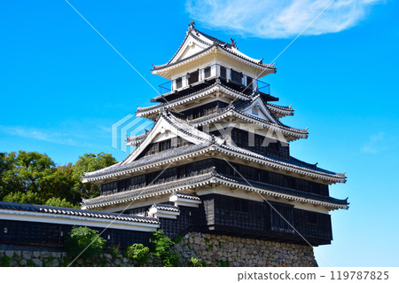 Nakatsu Castle 119787825
