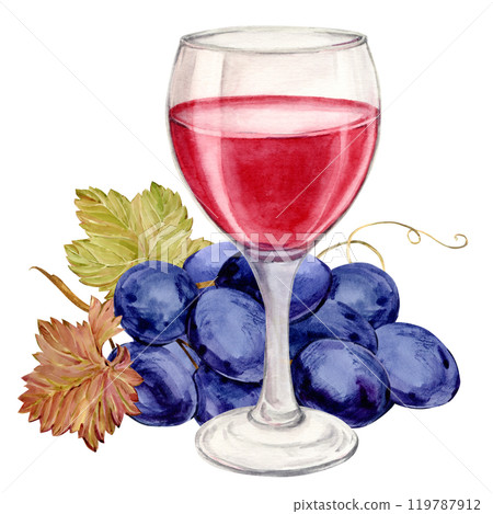 Glass of red wine and blue grapes. Illustration of a bunch of grapes with purple berries and leaves lying on a table. Clipart for wine labels, winery, cafe, restaurant. Glass of red wine and blue grapes. Illustration of a bunch of grapes with purple berries and leaves lying on a table. Clipart for wine labels, winery, cafe, restaurant. 119787912
