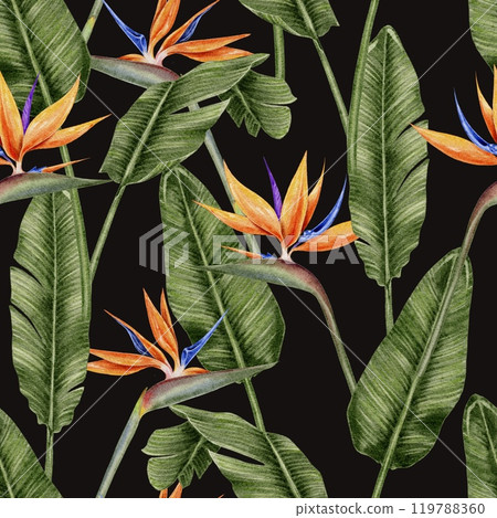 Tropical flowers strelitzia and leaves palm seamless pattern on black background. Watercolor illustration for textile, fabric, wallpaper, card, packaging, party. 119788360