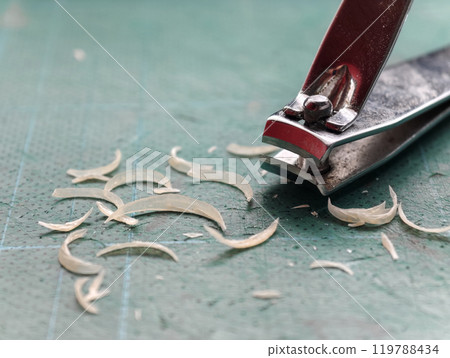 Fingernail clippings of a man that were cut with nail clippers. Fingernail clippings of a man that were cut with nail clippers. 119788434
