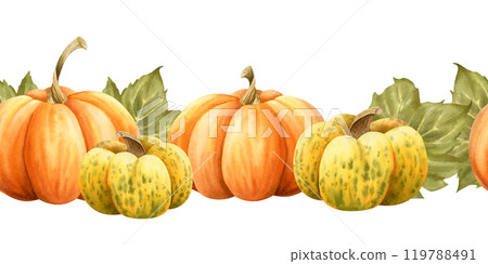 Ripe pumpkins in orange and yellow colors watercolor seamless border on white. Horizontal endless background for autumn harvest gourds designs and Thanksgiving day greeting cards. October vegetables 119788491