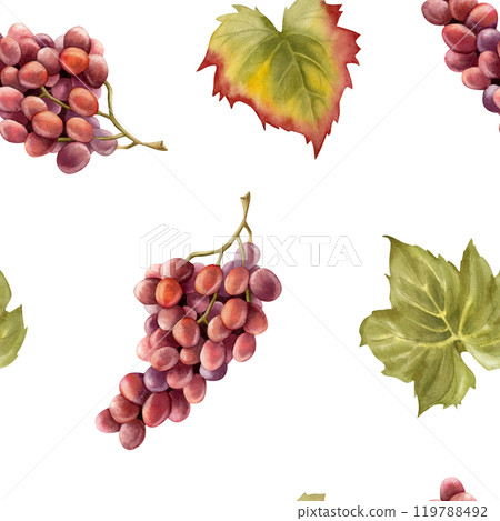 Watercolor purple black grapes bunch with green leaves seamless pattern on white. Ripe fruit branches for fall harvest and winery designs. Juicy berries repeat background Watercolor purple black grapes bunch with green leaves seamless pattern on white. Ripe fruit branches for fall harvest and winery designs. Juicy berries repeat background 119788492