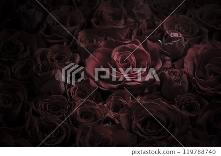 A background of dried roses 119788740