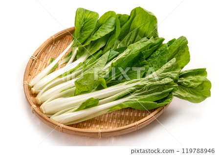 Shirona, a traditional vegetable from Naniwa, Osaka Prefecture Shirona, a traditional vegetable from Naniwa, Osaka Prefecture 119788946