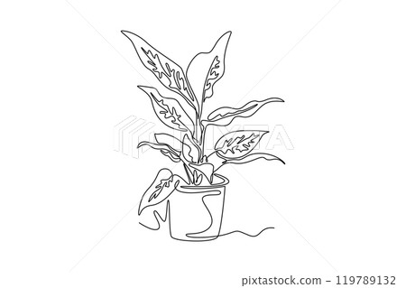 Single continuous line drawing cute potted tropical leaf aglaonema plant. Printable decorative houseplant concept for home wall decor ornament. Dynamic one line draw graphic design vector illustration Single continuous line drawing cute potted tropical leaf aglaonema plant. Printable decorative houseplant concept for home wall decor ornament. Dynamic one line draw graphic design vector illustration 119789132