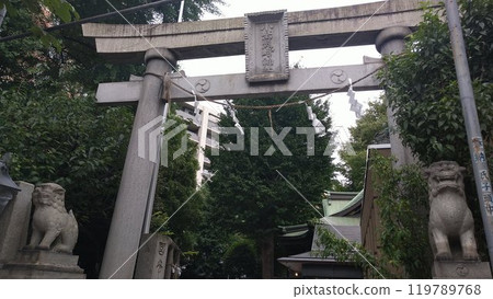 Ono Terasaki Shrine, stone torii gate [Taito Ward, Tokyo] 119789768