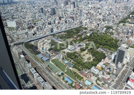 大阪市天王寺區十芝公園、天王寺動物園、天王寺美術館街景 119789929