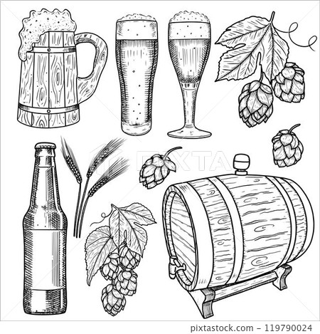 Set with beer, hops, barrel. Vector illustration 119790024
