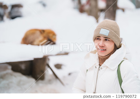 Woman tourist with Cute fox on snow in winter season at Zao fox village, traveler sightseeing Miyagi prefecture. landmark and popular for attraction near Sendai, Tohoku, Japan. Travel and Vacation Woman tourist with Cute fox on snow in winter season at Zao fox village, traveler sightseeing Miyagi prefecture. landmark and popular for attraction near Sendai, Tohoku, Japan. Travel and Vacation 119790072