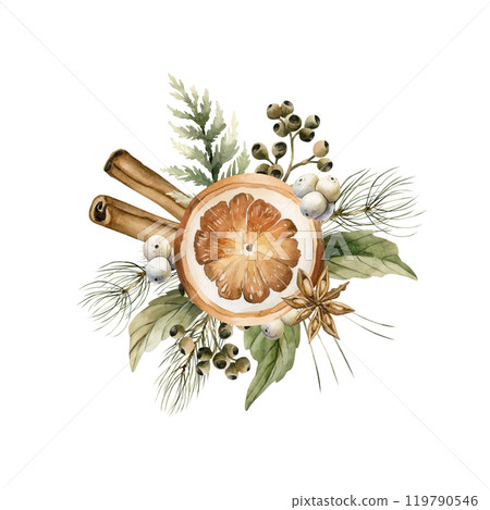 Dry orange slice, cinnamon, anise, pine and cedar branches, white mistletoe berries. Watercolor hand drawn isolated vintage floral illustration for Christmas winter design, cards, holiday prints 119790546