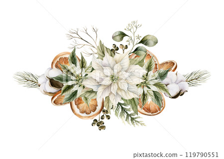 White poinsettia flower, cotton, dry orange slices, pine, cedar and eucalyptus branches. Watercolor hand drawn isolated vintage floral illustration for Christmas winter design, cards, holiday prints 119790551