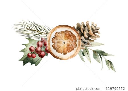 Dry orange slice, pine cone, holly berry, pine and eucalyptus branches. Watercolor hand drawn isolated vintage floral illustration for Christmas winter design, cards, holiday prints, gift wrapping 119790552