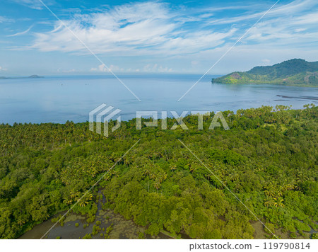 The coast of Mindanao with rainforest and coconut trees. Philippines. Mindanao. Travel concept. 119790814