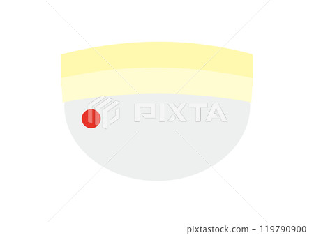 White sensor 119790900