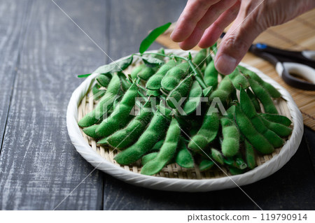 毛豆,樹枝排列在籃子裡(黑色背景) 毛豆,樹枝排列在籃子裡(黑色背景) 119790914