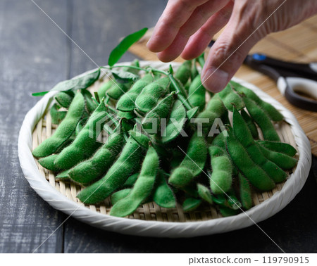 毛豆，樹枝排列在籃子裡（黑色背景） 119790915