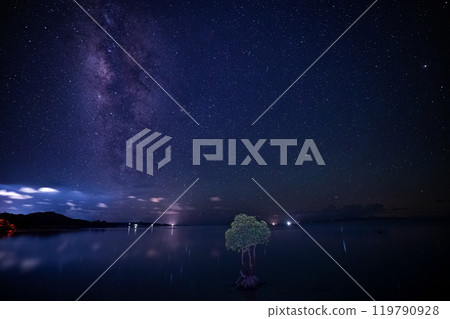 Starry sky and mangrove tree on Ishigaki Island Starry sky and mangrove tree on Ishigaki Island 119790928