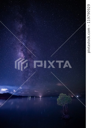 Starry sky and mangrove tree on Ishigaki Island Starry sky and mangrove tree on Ishigaki Island 119790929