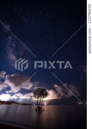 石垣島的星空與單一的白木 119790936