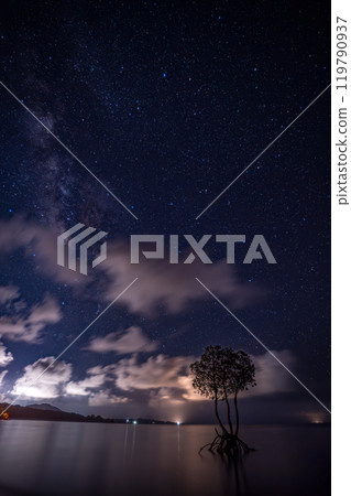 石垣島的星空與單一的白木 119790937