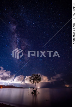 石垣島的星空與單一的白木 119790940