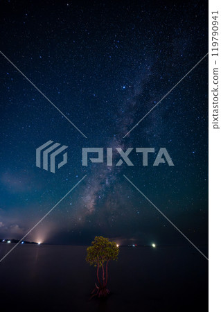 石垣島的星空與單一的白木 119790941