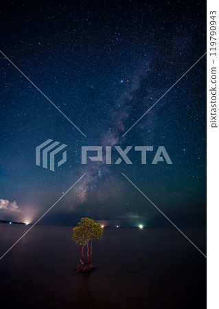 Starry sky and mangrove tree on Ishigaki Island Starry sky and mangrove tree on Ishigaki Island 119790943