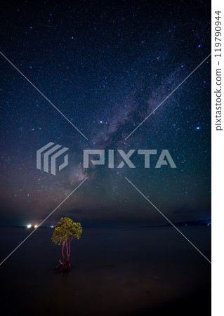 石垣島的星空與單一的白木 119790944