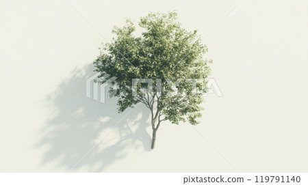 hyper realistic isometric view of tree showcasing vibrant green leaves and intricate branches, casting soft shadow on light background hyper realistic isometric view of tree showcasing vibrant green leaves and intricate branches, casting soft shadow on light background 119791140