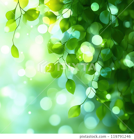 Lush green leaves with soft bokeh lights create serene atmosphere, evoking sense of tranquility and nature beauty 119791246