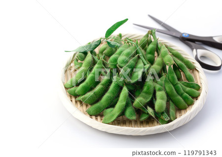 Edamame beans on a basket (white background) Edamame beans on a basket (white background) 119791343