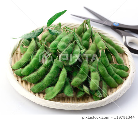 Edamame beans on a basket (white background) 119791344