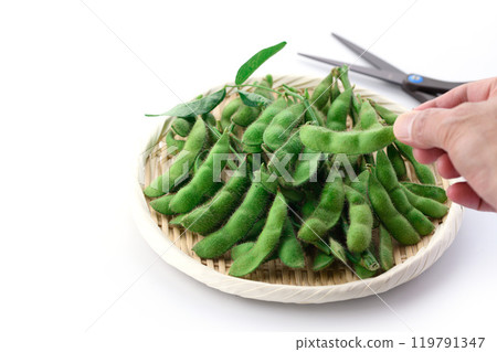 Edamame beans on a basket (white background) Edamame beans on a basket (white background) 119791347