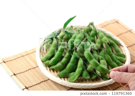 毛豆,樹枝排列在籃子裡(白色背景) 毛豆,樹枝排列在籃子裡(白色背景) 119791360