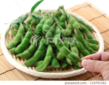 毛豆,樹枝排列在籃子裡(白色背景) 毛豆,樹枝排列在籃子裡(白色背景) 119791362