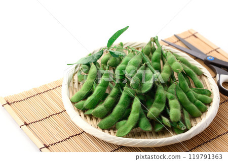 毛豆,樹枝排列在籃子裡(白色背景) 毛豆,樹枝排列在籃子裡(白色背景) 119791363